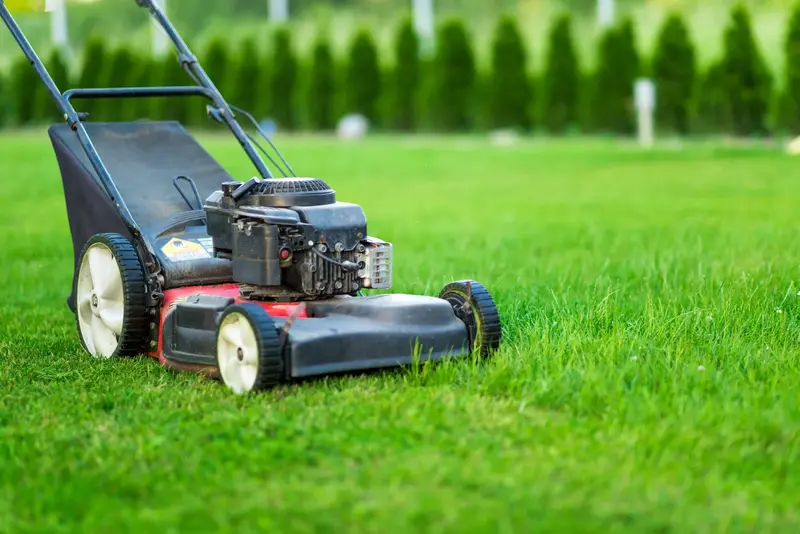 lawn mowing services
