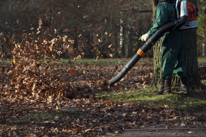 leafremoval services