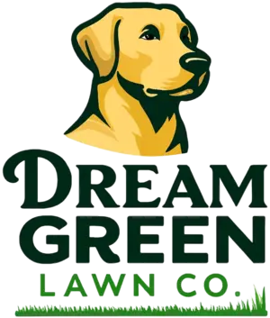 dream green logo